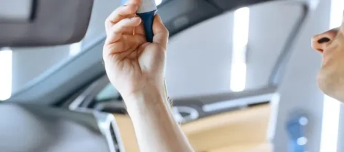 fresh comfortable interior little ones-sam car detailing